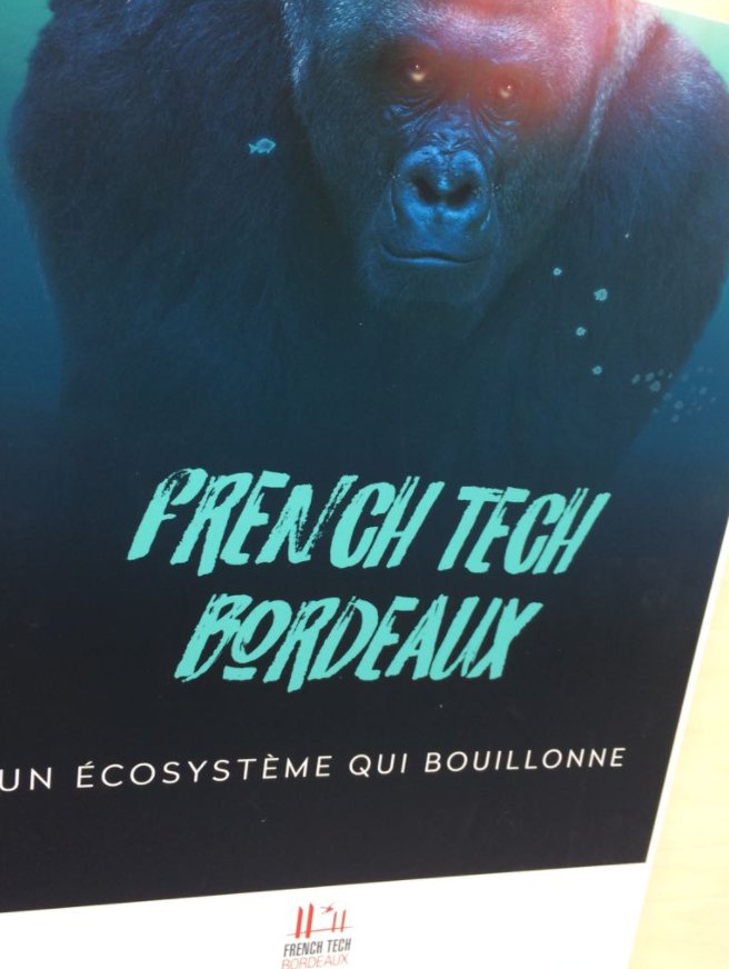 FrenchTechBdx's tweet photo. Les startups bordelaises représentent la @FrenchTechBx à Namur pour le #KIKK17 🇫🇷🤜🏽🤛🏽🇧🇪 #FrenchTech https://t.co/bs1K9YPIdT
