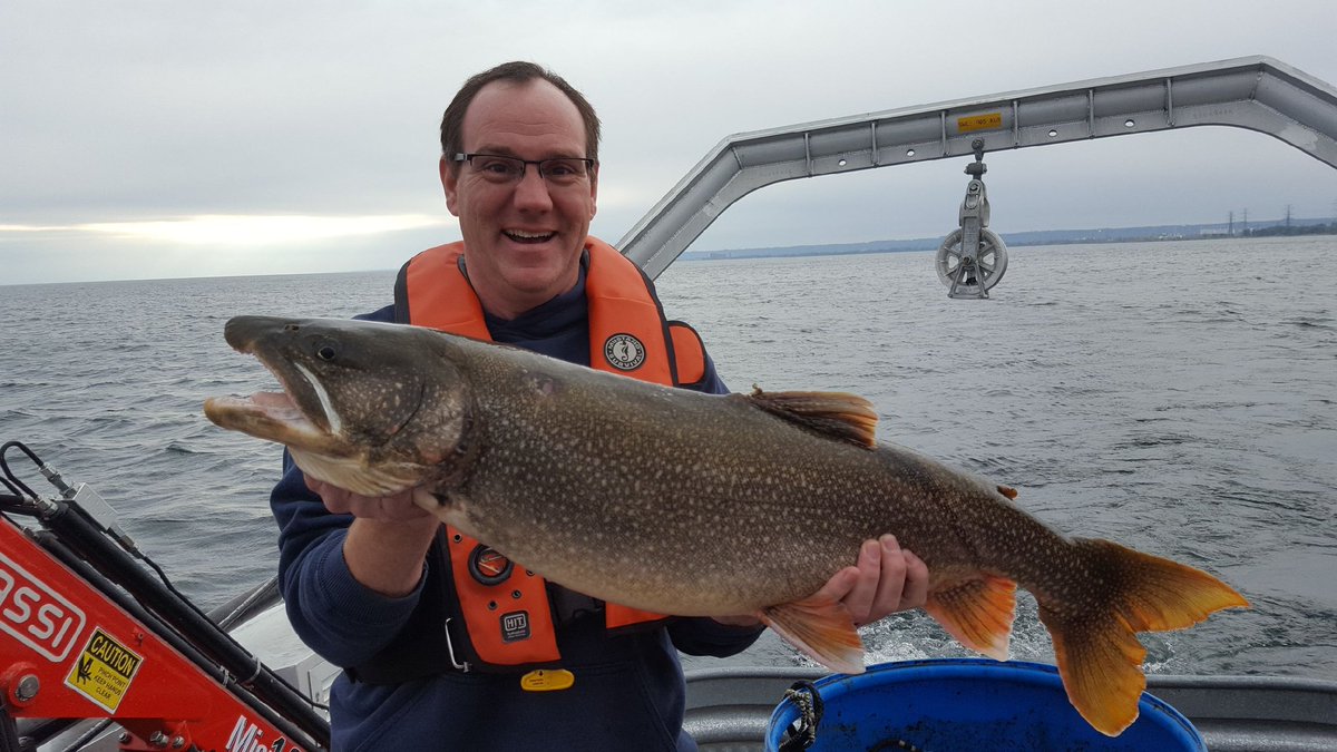 Lots of large spawning #LakeTrout! Captain Dallas seems pleased. #LakeOntario #FallFishSurvey #GreatLakesLab @DFO_Science <a href="/DrPlanktonguy/">Warren Currie @DrPlanktonguy@ecoevo.social</a>