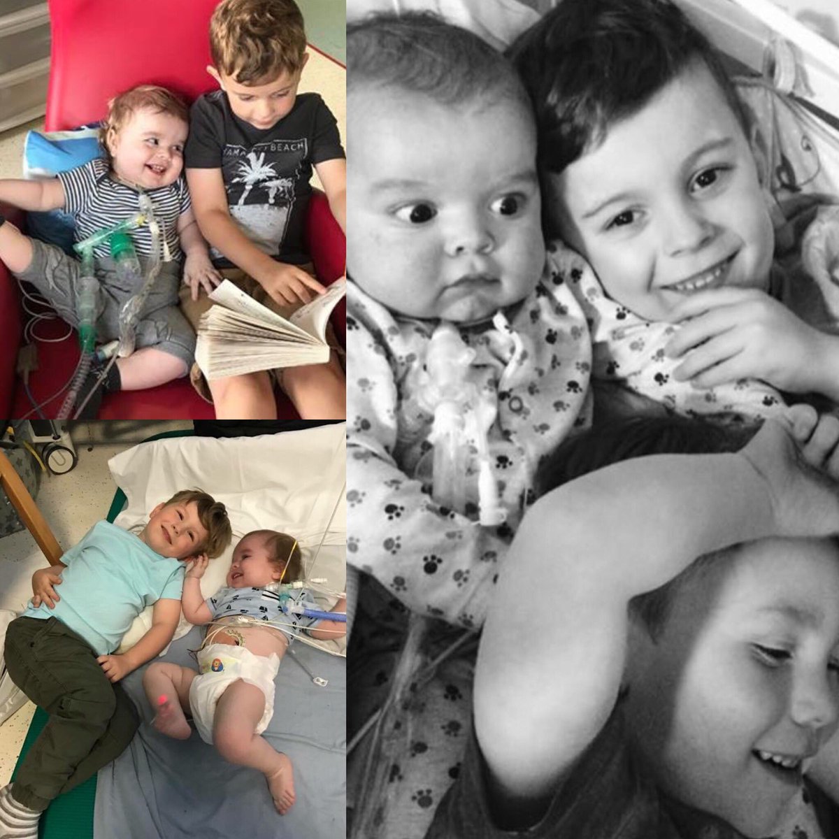 ArlosArmy's tweet photo. @MrNickKnowles Thank you so much for the re-tweet! Your support means the world and we will keep everything crossed! 🙏#ArlosArmy @DIYSOS https://t.co/PELduk0iP0