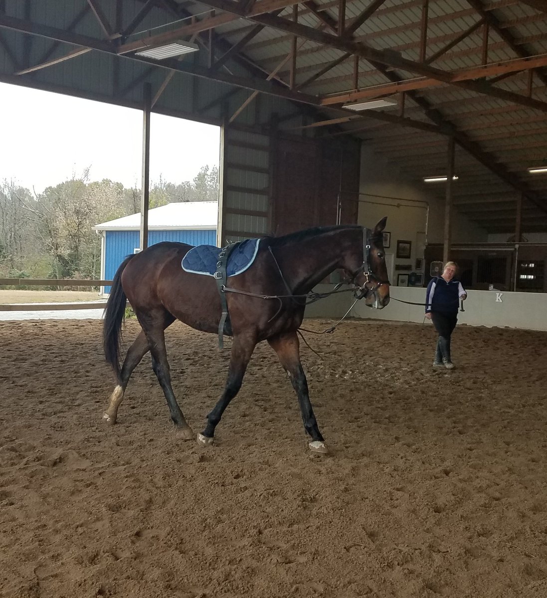 JennOrrBuchanan's tweet photo. Not a selfie person at all but when I can get a picture with my boy #OTTB LT's Best Tale retraining, can't help myself... #HorseMud #LTRocks https://t.co/V2VmLhCuDq