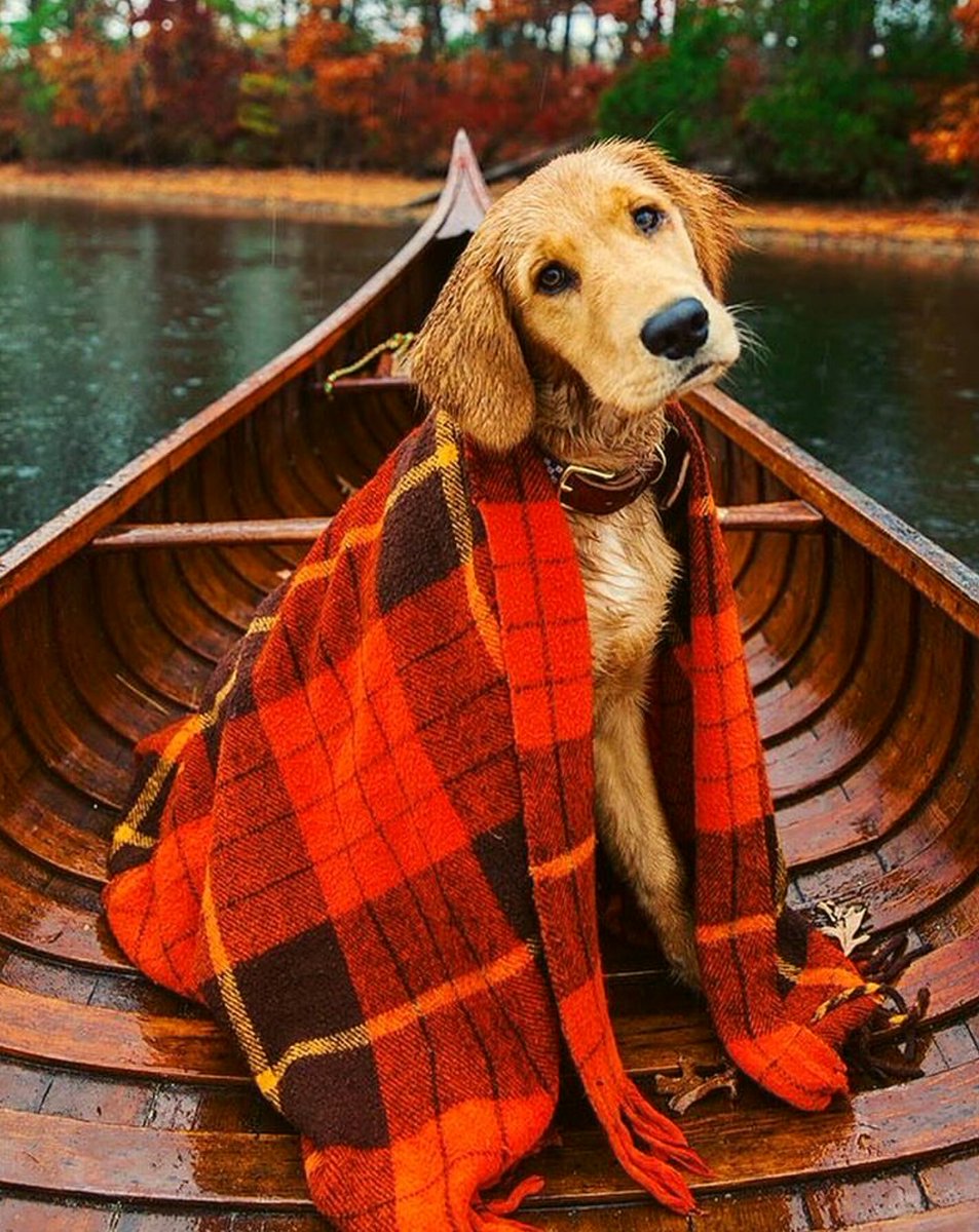 Aguiar (@aguiarrinaldo) on Twitter photo 