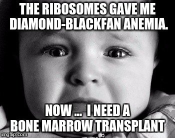 Nucleye's tweet photo. Will you trust them as Governor? I know I wouldn't. @mslaflamme  #akins #organellewars https://t.co/vmc2ZifkU9