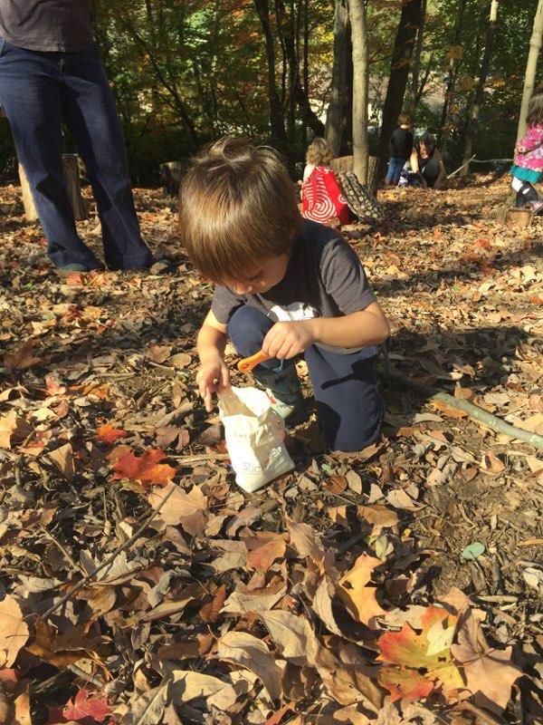 wfs_lsmatters's tweet photo. PreK students design bear traps using stick-let's in their outdoor classroom. #wfsinspired @HelloSticklets https://t.co/GXdimpJSbC