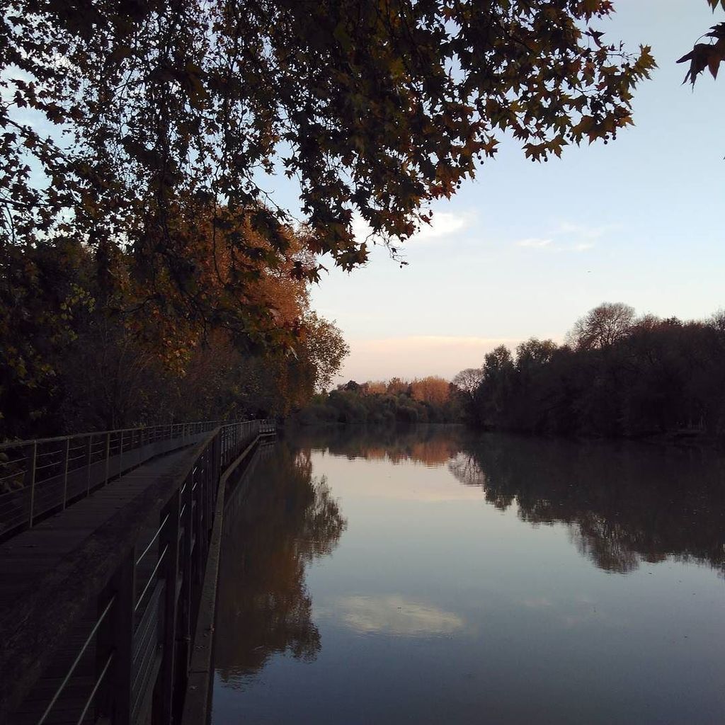strands_of_life's tweet photo. 秋の夕暮れ🍁(近所です😅)。
Crépuscule d'automne 🍁.
Autumn twilight 🍁.
#autumn #automne #sèvre #france #atelierknits #strandsof… https://t.co/fXPF7ih7yG https://t.co/mvwRvzERaU