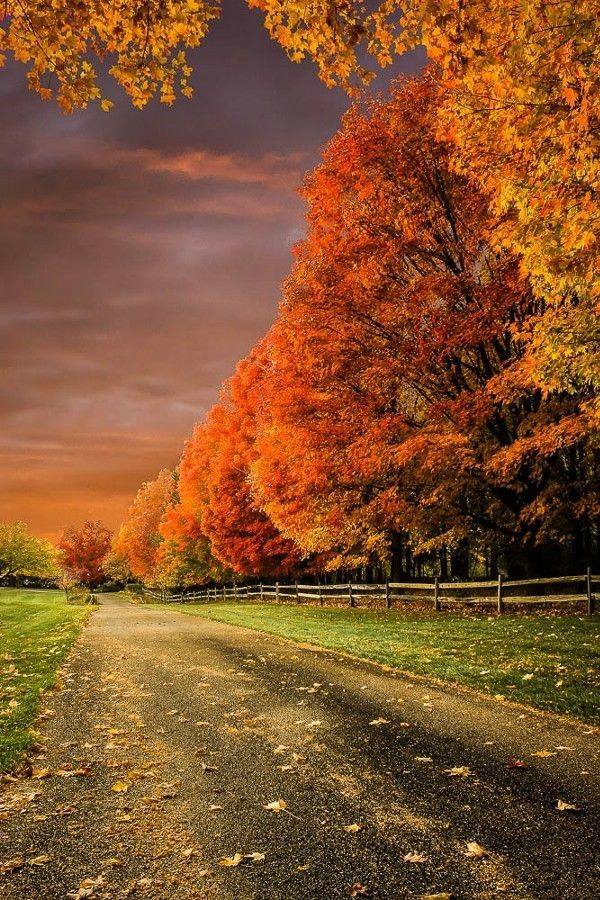 Gorgeous evening all friends living in England 💖