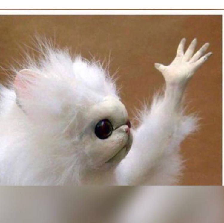 ياااارب انا جعانه