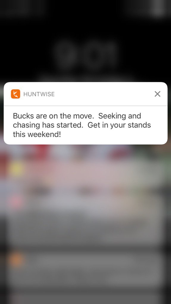 oh boy