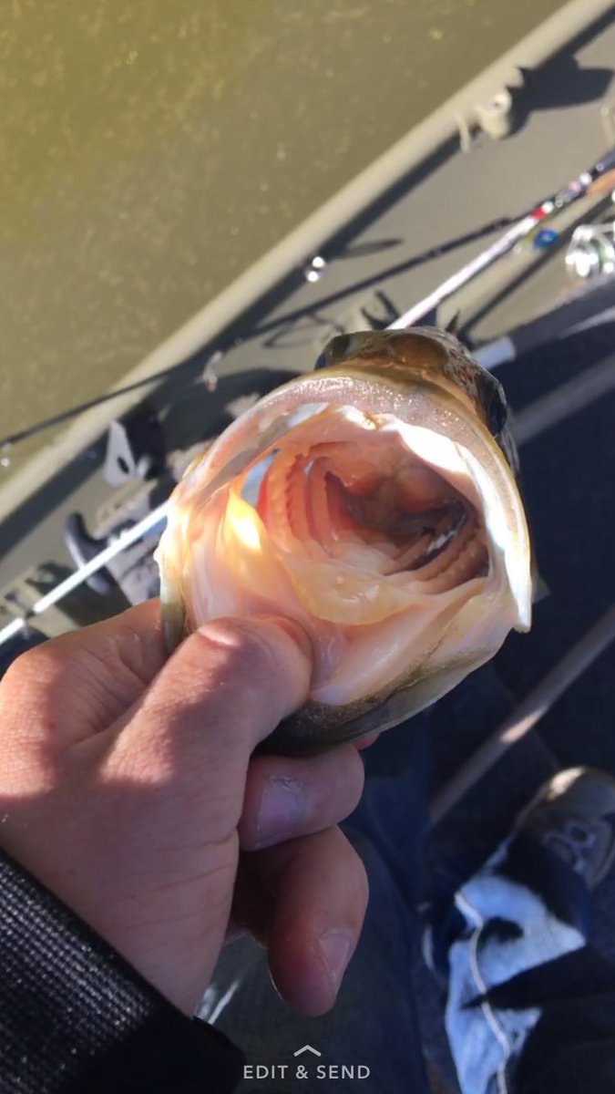 SNJfishing's tweet photo. #NJfishing https://t.co/zo6MVQ2m6y
