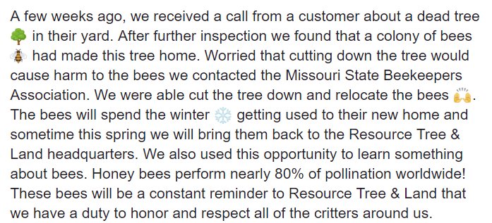 ResourceComo's tweet photo. #SaveTheBees #TheBeeTree #Beelieve https://t.co/Oh9fvx0h24