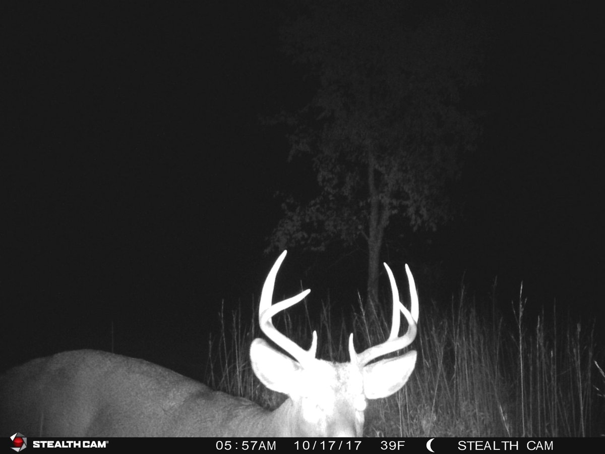 Really hope I bump into this guy Saturday, been waiting a loooooong time to introduce myself!  😁 🙏🏼