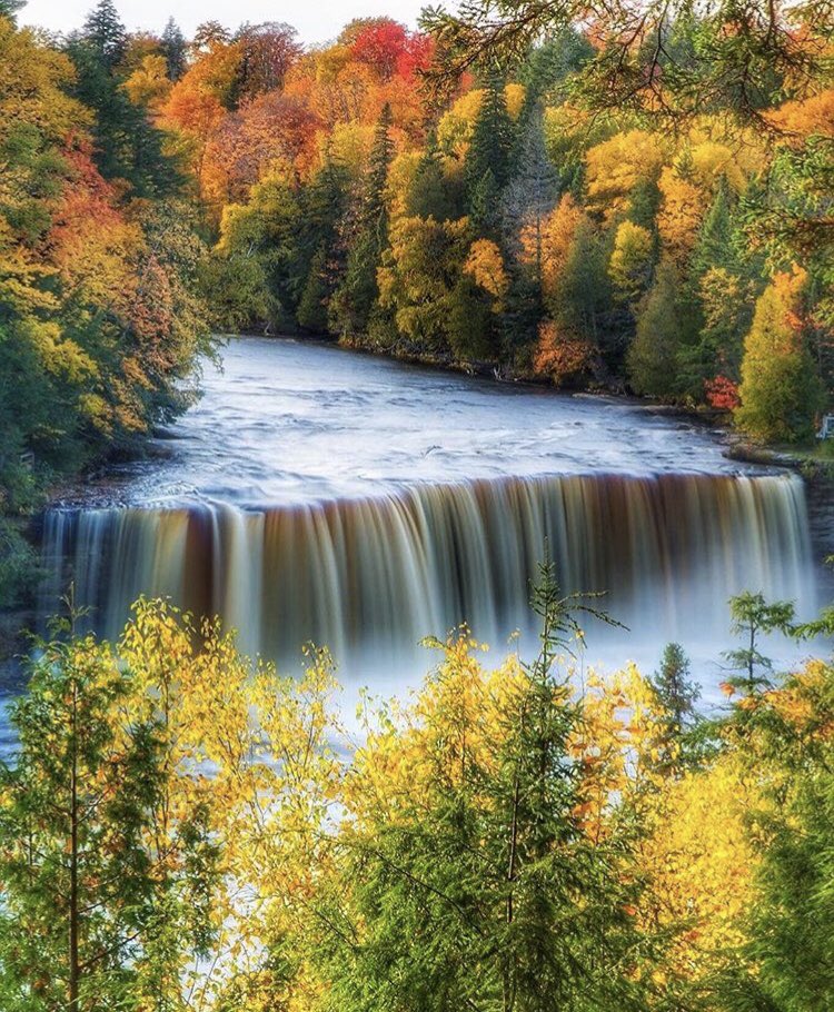 MichiganBests's tweet photo. Tahquamenon Falls https://t.co/z5qQzChYiX