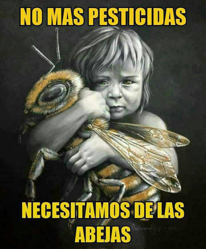 nelcuse's tweet photo. Muy cierto! A cuidar el planeta https://t.co/0wH5xrHXLt