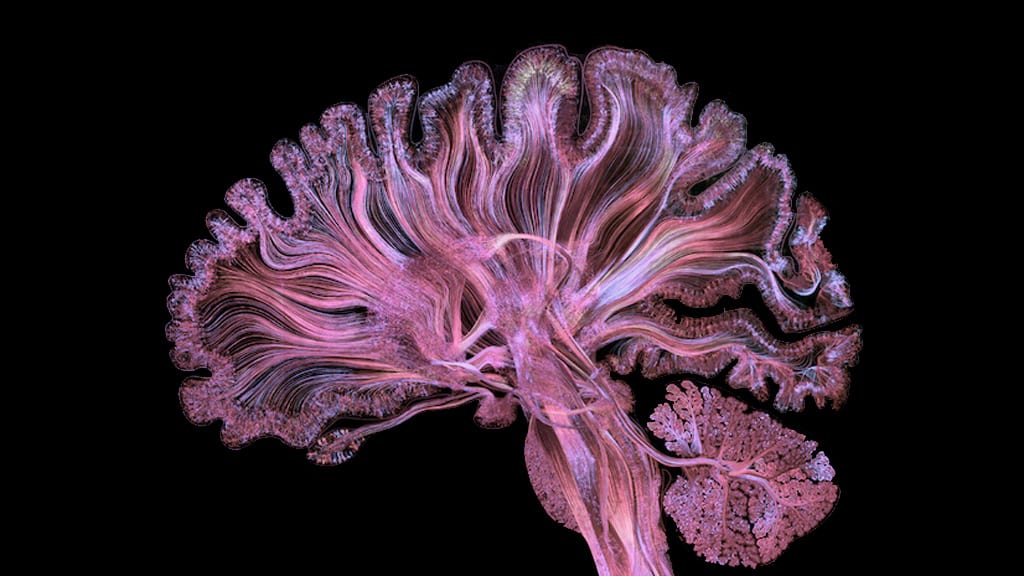 Psymposia tweet media