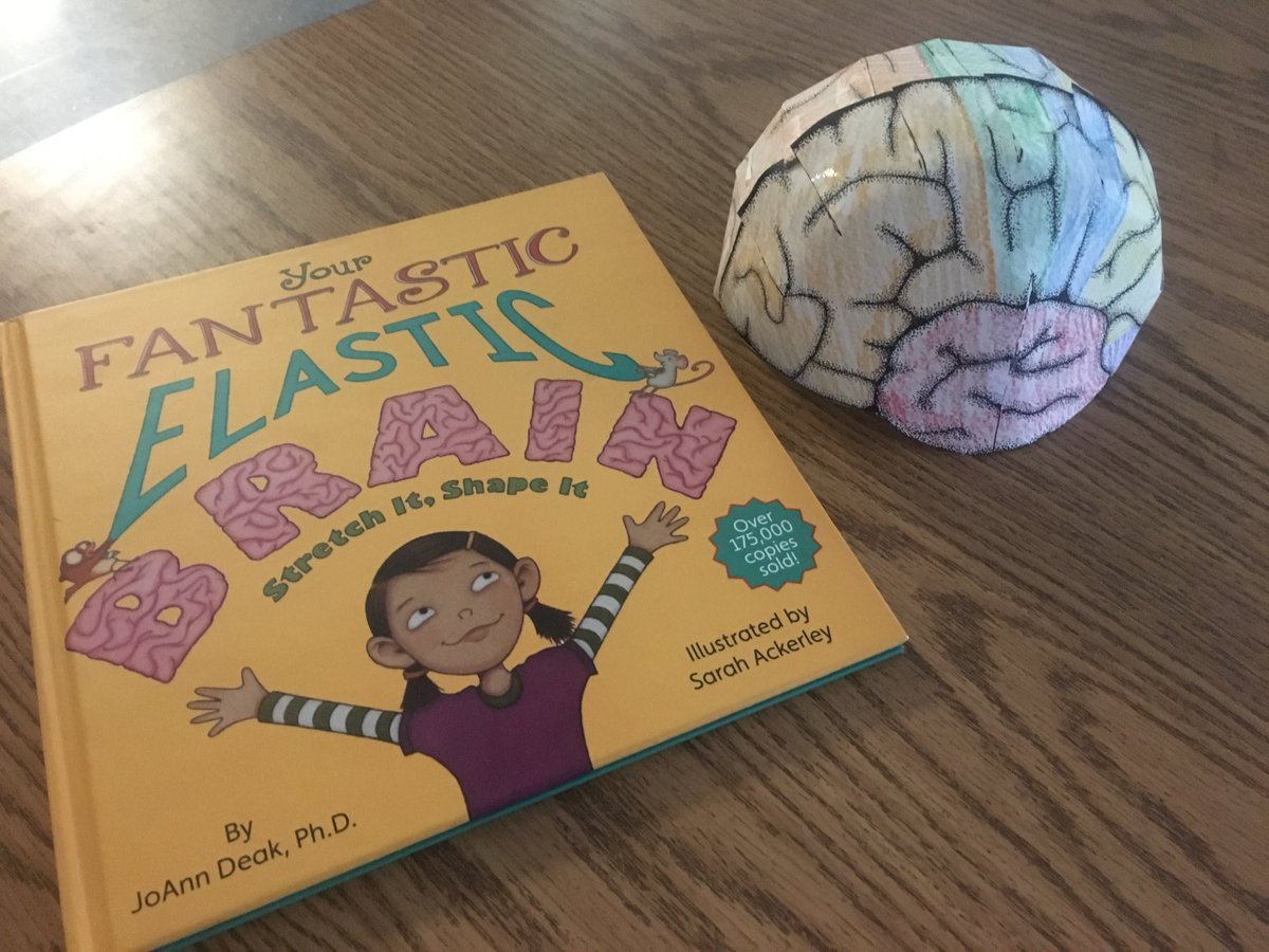 SheilaAnnNorris's tweet photo. Learning about our brains and how to make them strong! #kindergarten #growthmindset @HillsmereESAACP https://t.co/JxJYMF1LgJ