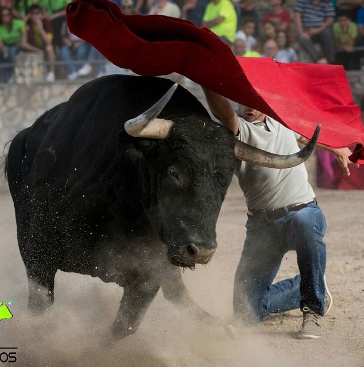 Ivancolomer's tweet photo. Admiro muchas cosas. Una de ellas que unos chavales se sientan toreros a la antigua usanza. 🙌🏽🙌🏽 https://t.co/hEh8BeEHGr
