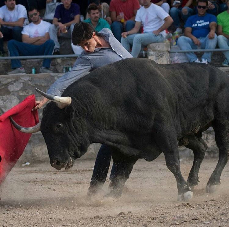 Ivancolomer's tweet photo. Admiro muchas cosas. Una de ellas que unos chavales se sientan toreros a la antigua usanza. 🙌🏽🙌🏽 https://t.co/hEh8BeEHGr