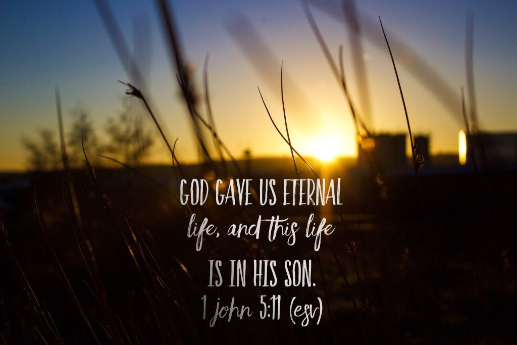 michaeldoffay's tweet photo. 1 John 5:11 https://t.co/fkdfaQxlIv https://t.co/p0ePnFvUyW