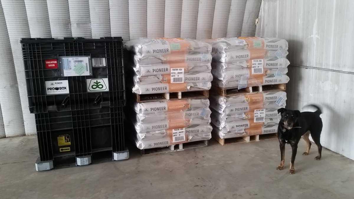 Loewen Seeds tweet media