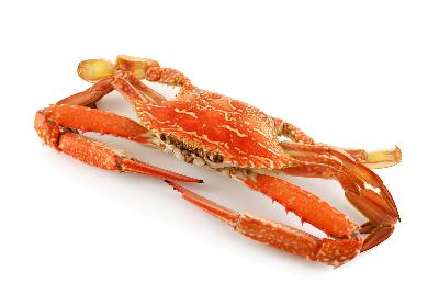MyHCGProgram's tweet image. Crab meat is one of the healthiest foods you can eat. Low in calories, lots of protein, high in minerals + Vit Bs ht.ly/SY2z30gjJt4
