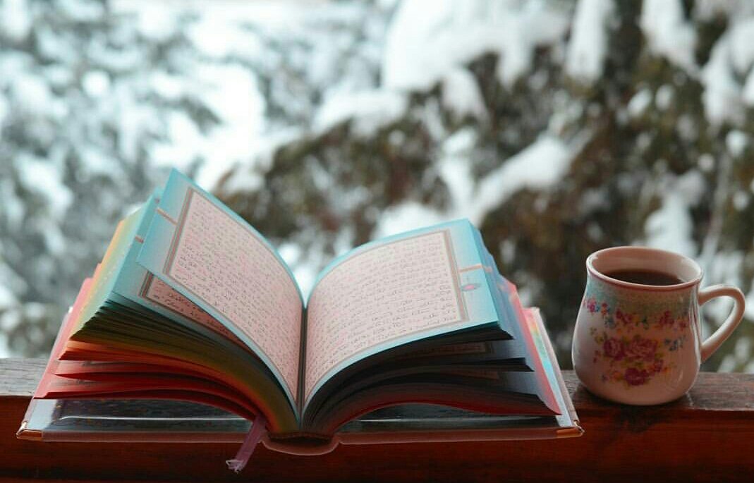 YasasinH's tweet photo. Ya açar bakarız Nazmı Cecil'in yaprağına
Yahut üfler geçeriz bir ölünün toprağına 
İnmemistir hele Kur'an şunu hakkıyla bilin
Ne mezarlık da okumak ne de fal bakmak için 📖 
Bu kitap sana geldi kardeşim vaktin varken OKU 💐💐 https://t.co/AC2qNproPb