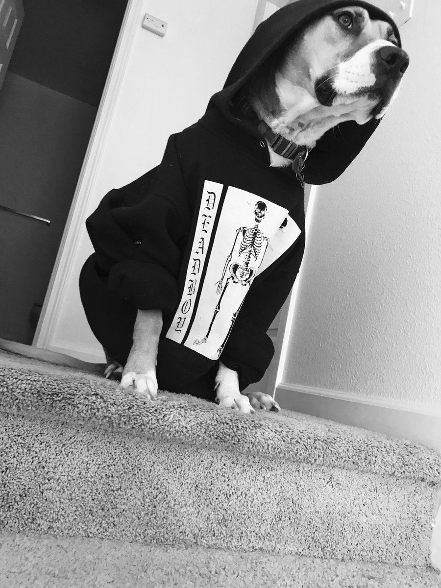 Beau__Berry's tweet photo. SeshDogs @TeamSESH @elliottoconnor https://t.co/KO7PLQanzp