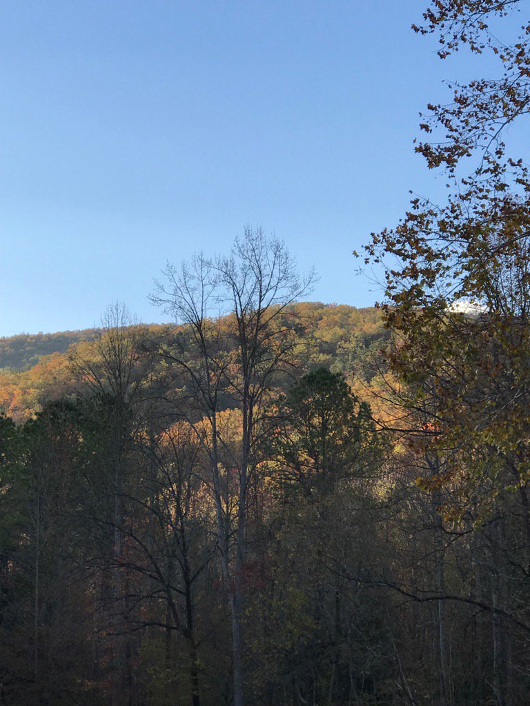 CuatroSmiths's tweet photo. Smokey Mountain National Park! https://t.co/8cMdTDLVcr