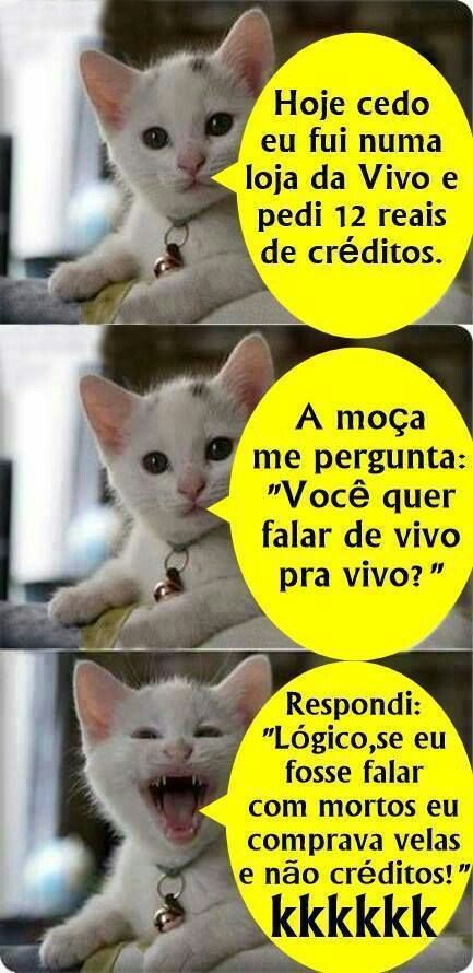 Elenice #BetaLab (@ninavsjt) on Twitter photo 