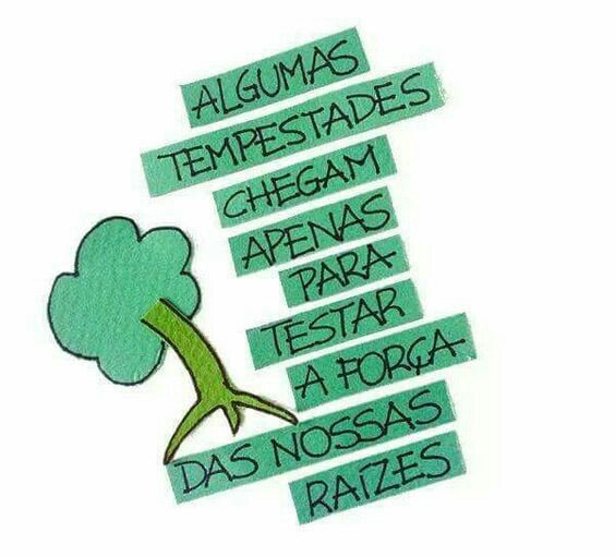 Elenice #BetaLab (@ninavsjt) on Twitter photo 