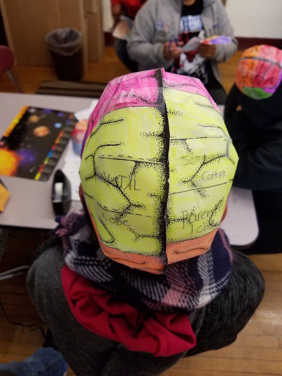 welovetba's tweet photo. 8th grade students become neurosurgeons creating brain hats & performing brain dissections for #BostonSTEMWeek π¬@i2Learning #RISE https://t.co/BJOrBPrv6T