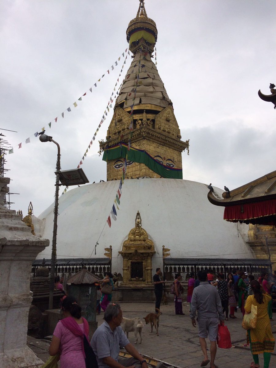 16 Day Himalayan Experience. October 2019. Spaces Available. #poonhill #elephantsafari #kathmandu #nepal worldwide-expeditions.com