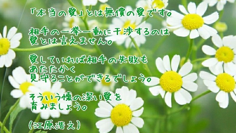 °👄°&lt;ｱﾗﾔﾀﾞ!💗
今日は祝日なのね でも

 関係ないさ～
    (大西ライオン風に

🙋おはようございます🐓
今日も一日😊顔晴ろぉ⤴️

皆様今日も宜しくお願いします🤗良い一日を🌷🌸🌹🌺🌻🌼

11/3の誕生花【カモミール】
「逆境に耐える」
「逆境で生まれる力」