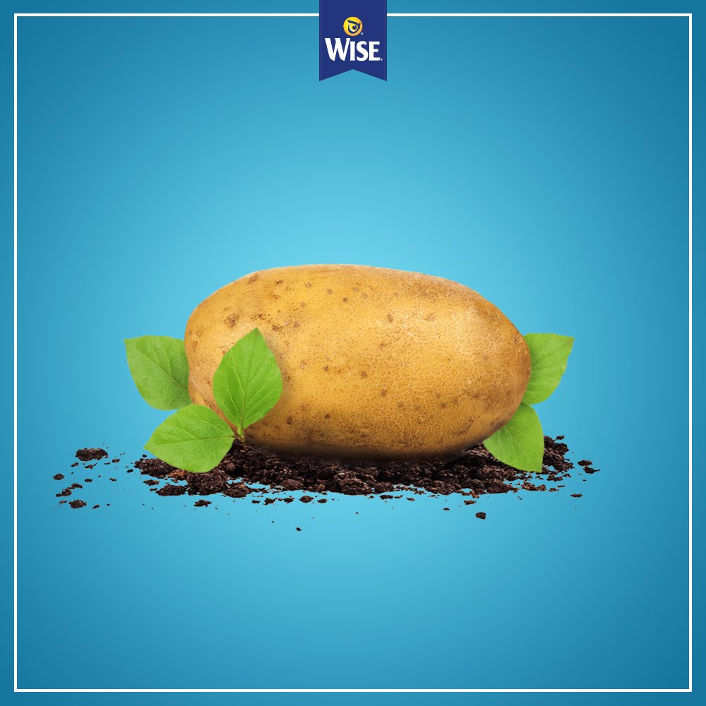 wisefoods's tweet photo. Who knew potatoes were one of the 1st commodity groups to develop and use an FDA-approved nutrition label? ☝️🙌 #WiseChips #TheMoreYouKnow https://t.co/n5XA3uNpQc