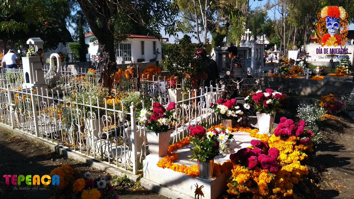 Turismotepeaca's tweet photo. Momentos que tienen mucha tradición, las ofrendas llegan a los panteones a través de flores... #Tepeaca   #DiaDeMuertosMexico @DavidHuertaR @alejandrohlimon @turisteandopueb @EventosPuebla_ @RutaDelPecado https://t.co/P1ETL78WVK