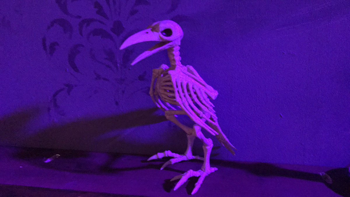 ECTheatreCo's tweet photo. Come and meet Fred at The Addams Family this weekend! Friday at 7:30 and Saturday at 2 PM. #ECTCTeens https://t.co/ttwTcHdc25
