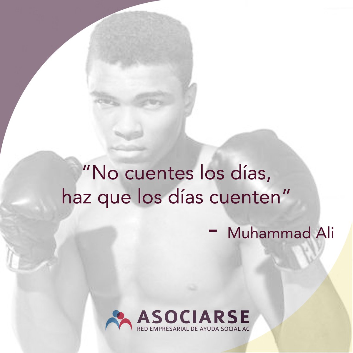 AsociarseAC's tweet photo. #AsociaRSE https://t.co/9STqmuvHqd