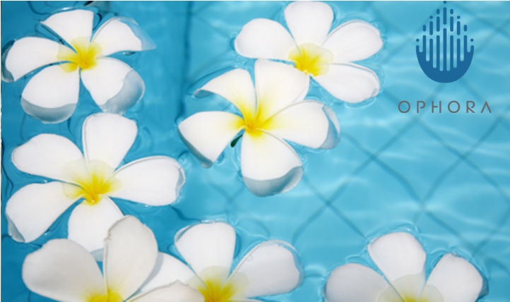 Ophora1's tweet photo. If you are having chlorine free pool in your home then feel free to contact us for a free chlorine free water test strip. #ChlorineFreePool https://t.co/Hp0D47ZGNF