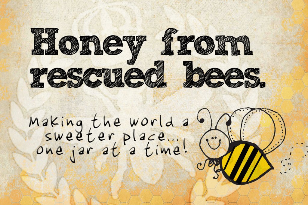 kenyonbees's tweet image. What are "rescued" bees? kenyonbee.com/what-are-rescu…