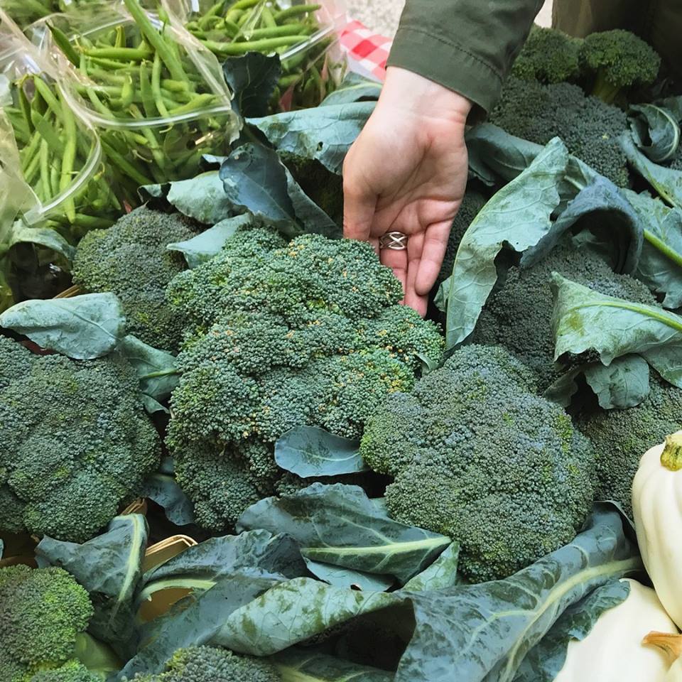 cgatlin7's tweet photo. What do fresh-from-the-farmerβs-market broccoli and MegaX have in common? Omega-3βs, of course. #FallIntoHealthyHabits https://t.co/M83Bu7M8FE