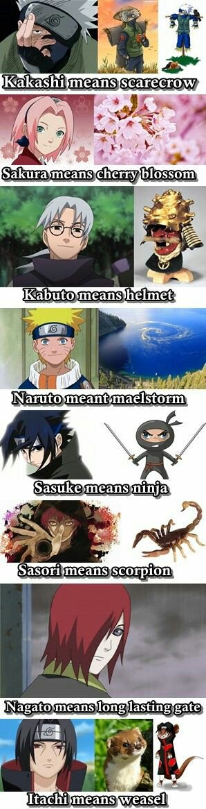 The meanings of their names