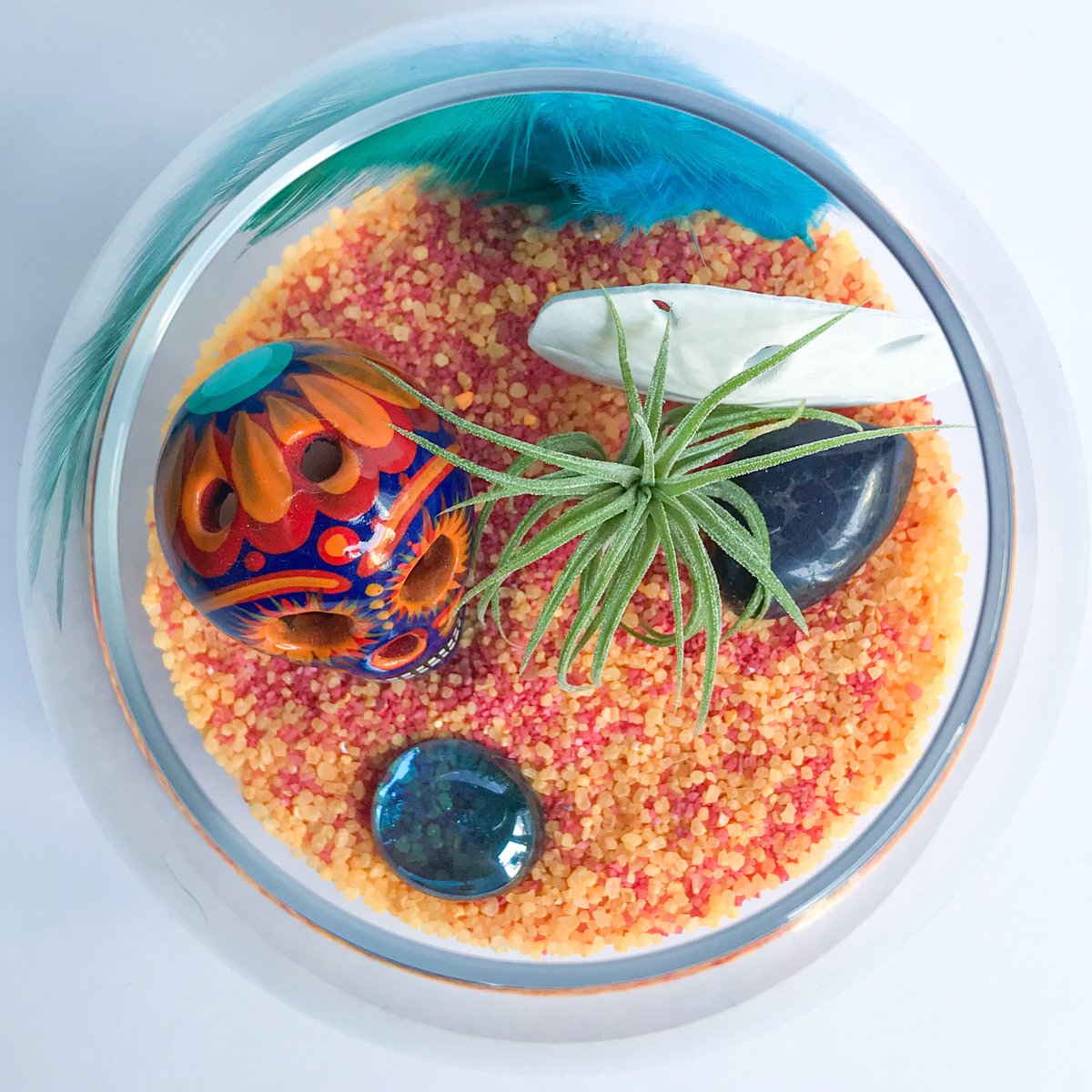 TerrariumKits's tweet photo. #NEW! The limited edition Calavera Series: Rebelde Terrarium Kit. Available exclusively at my Etsy shop. Link in bio. 💀 #TerrariumKits #DIY #airplant #terrarium #minigardens #homedecor #deskdecor #Etsy #shopsmall #calavera https://t.co/XWskHLPKfn