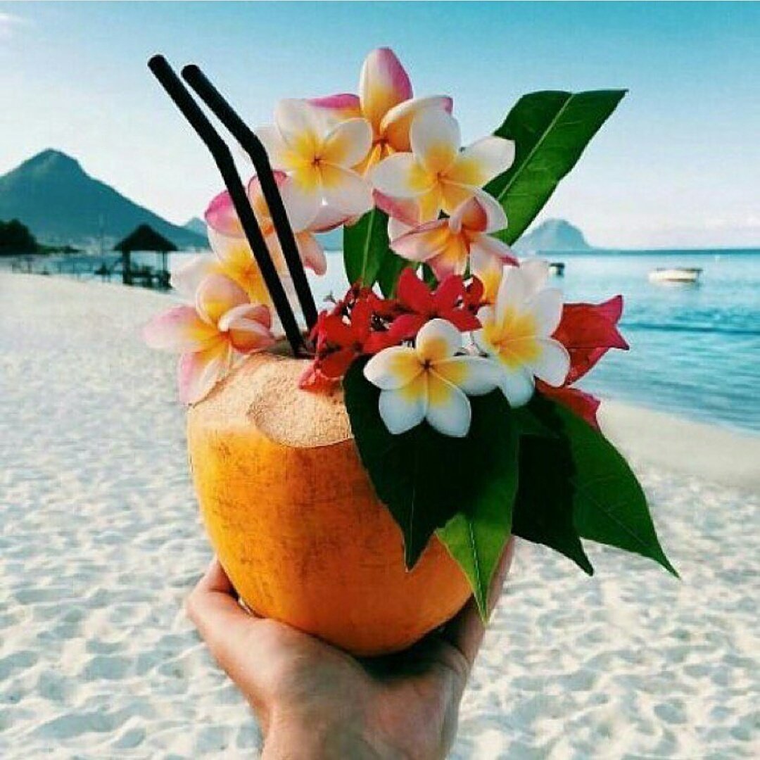 VitaCocoAU's tweet photo. Coconut Water - the #tropical #edition! π¦π΄ #weekendviews #vitacocoau #vitacoco #tgif #holiday #instatravel #wanderlust #coconut #coconutwater #eatclean #electrolytes #fit #healthy #natural #addiction #nutrition #nutsfornature #paleo #mocktail #poweredbycoconuts #yoga #sport https://t.co/ost7jhygaw