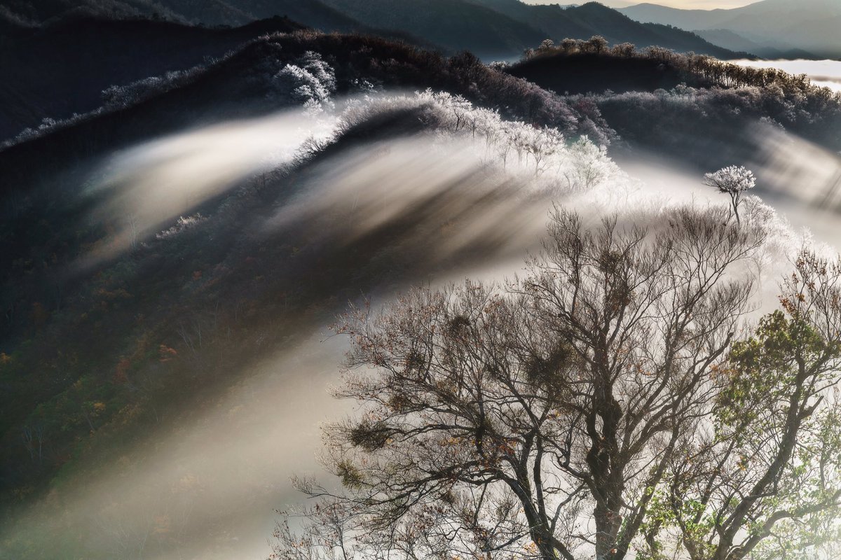 Takato Na Twitteru 冬支度を始めた枝折峠 奥只見湖より発生した雲海が滝の様に流れる様から逆さ霧や滝雲と呼ばれており 連日たくさん のカメラマンが訪れています 大雲海とまでは言えませんが新潟らしいステキな風景に出会えました 新潟が美しい 枝折峠 東京