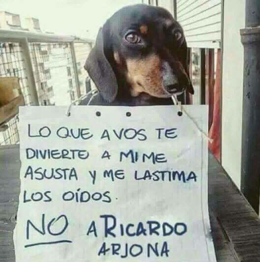 SenoraCatolica's tweet photo. #MisteriososSonLosCaminosDelSeñor https://t.co/sXJsM7ukzU