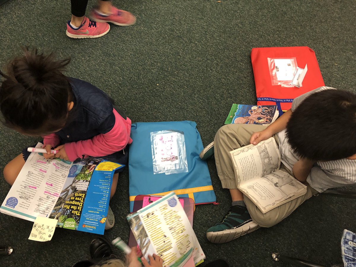 mrsjoyarnold's tweet photo. Grateful for my Ss who LOVE to read! Some don’t even stop to sit down. Makes my teacher heart happy! #gratitudesnaps https://t.co/Vryz4fSQED