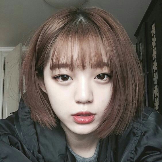 exchaeyoungzone's tweet photo. อยากตัดทรงเน้💇 https://t.co/dGB7Ni9kNm
