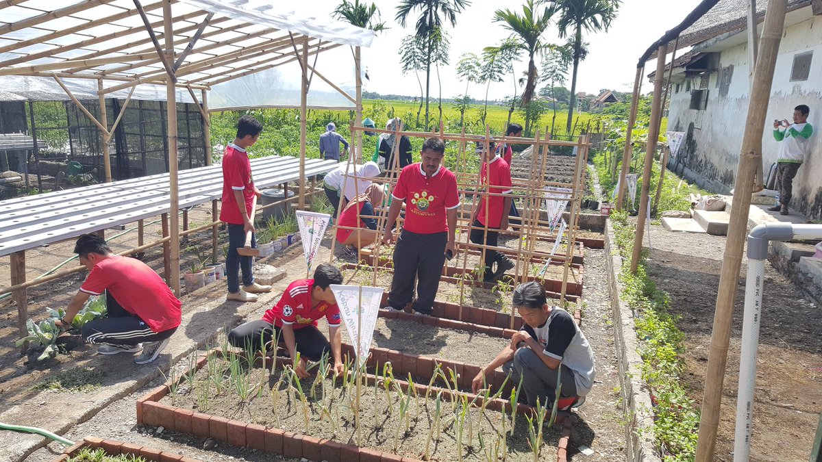 bwangiberkebun's tweet photo. Jum'at Barokah kebunwatukebo  @IDberkebun @dpubmcktr_bwi @MohSafaat @max_rury @Hariono_Pam @bayuhadiyanto2 @yulianpurnom https://t.co/n35m3wleLA