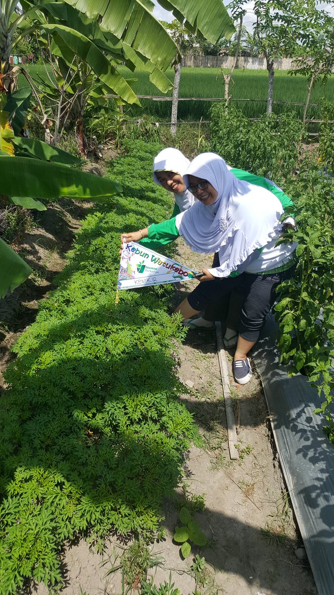 bwangiberkebun's tweet photo. Jum'at Barokah kebunwatukebo  @IDberkebun @dpubmcktr_bwi @MohSafaat @max_rury @Hariono_Pam @bayuhadiyanto2 @yulianpurnom https://t.co/n35m3wleLA