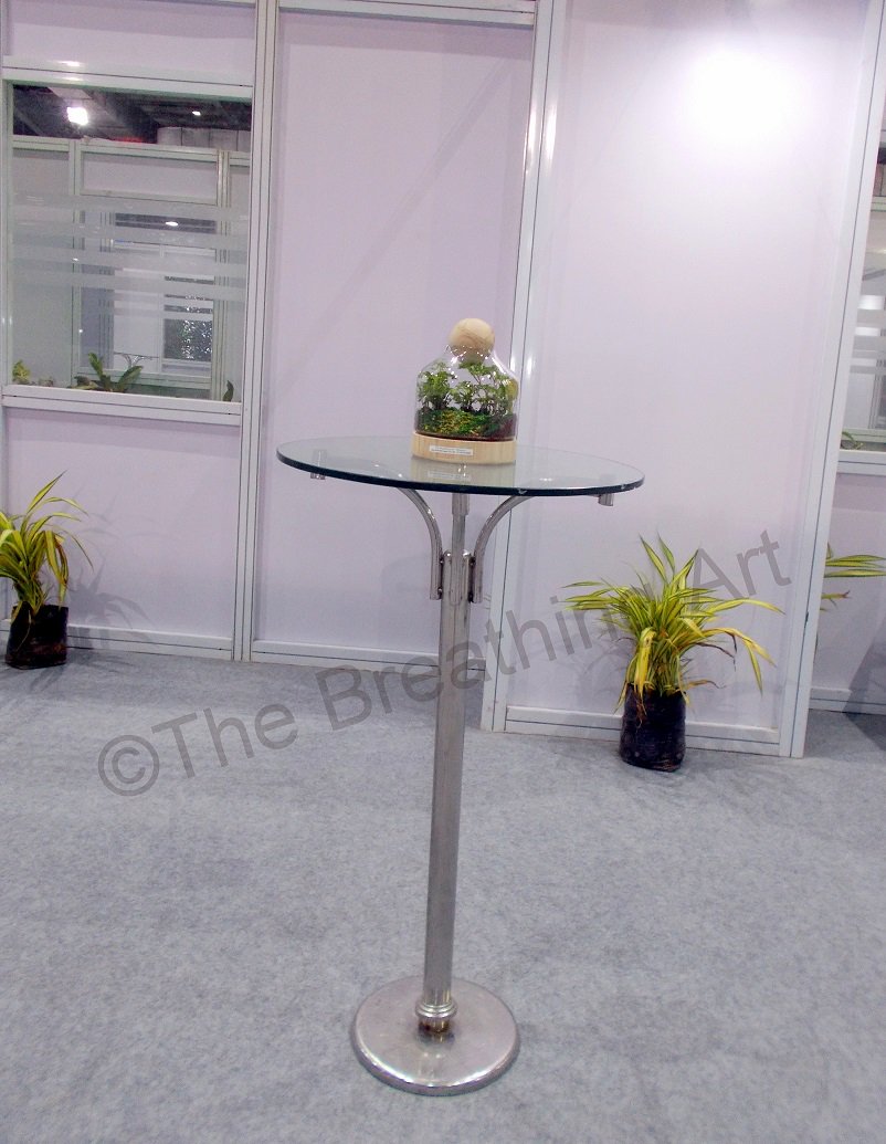 TheBreathingArt's tweet photo. One of our terrariums @GreenBuildIndia2017
#GreenBuildIndia2017 #DecorPartner #Terrariums #HomeDecor #Interior #GoGreen #theBreathingArt https://t.co/JGfYKlvVQt