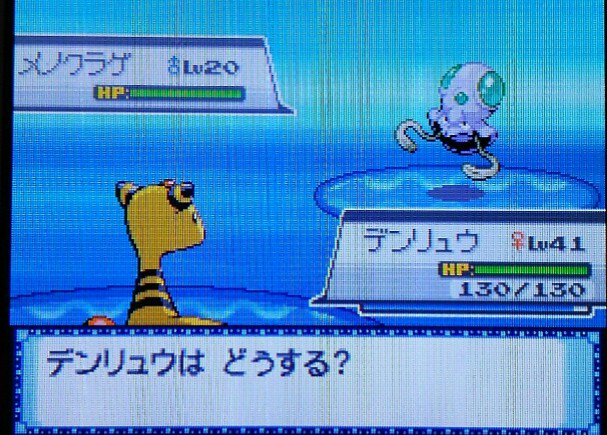 エルの色粘り Twitter