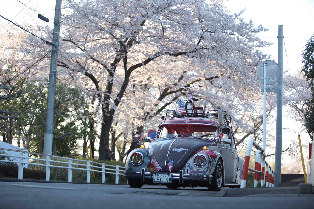 hasekohe's tweet photo. beetle 1974 手放します。
車検はあと1カ月くらいです。
金額等はDMしてください。
大事に乗ってくれる方に安くお譲りします。
#拡散希望 https://t.co/378e0QqGN8